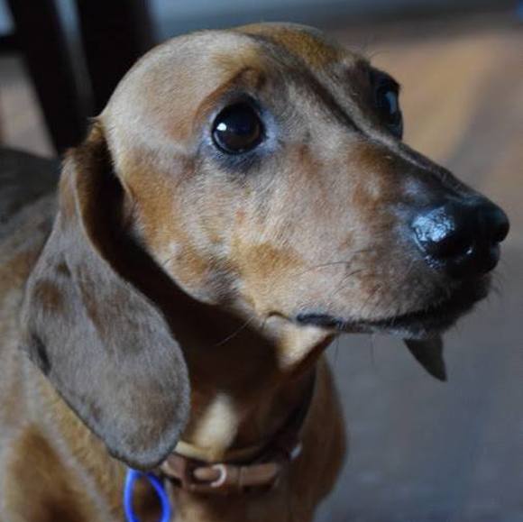 Meet your Posher, Mel - Picture 1 of 1